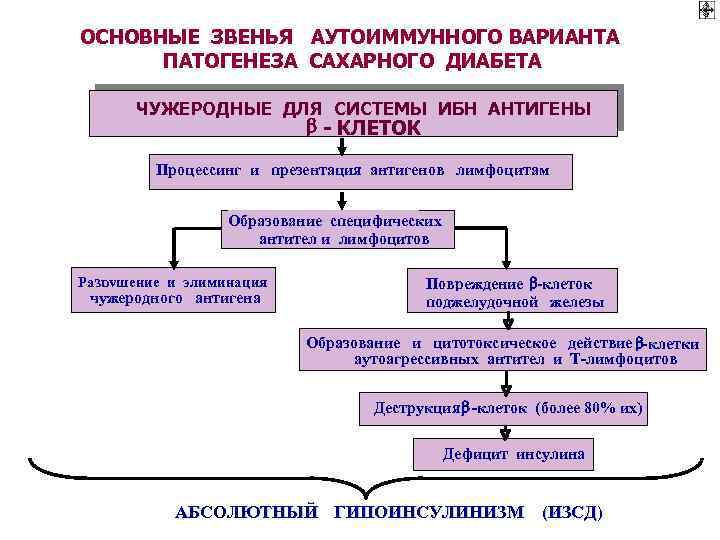 Патогенетические методы коррекции гипергликемии схема