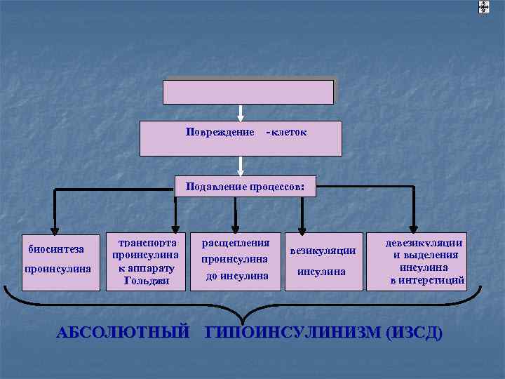  Повреждение - клеток Подавление процессов: транспорта расщепления девезикуляции биосинтеза везикуляции проинсулина и выделения