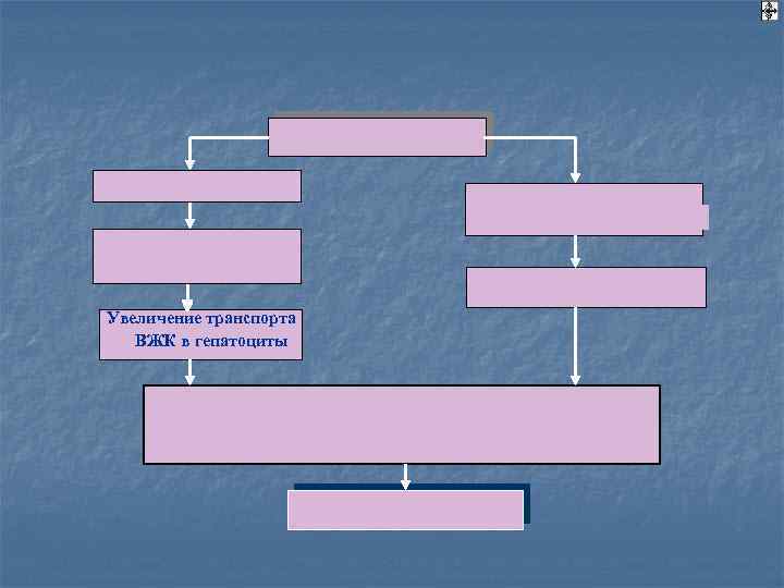Увеличение транспорта ВЖК в гепатоциты 