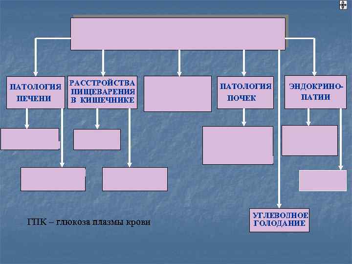  РАССТРОЙСТВА ПАТОЛОГИЯ ЭНДОКРИНО- ПАТОЛОГИЯ ПИЩЕВАРЕНИЯ ПЕЧЕНИ В КИШЕЧНИКЕ ПОЧЕК ПАТИИ УГЛЕВОДНОЕ ГПК –