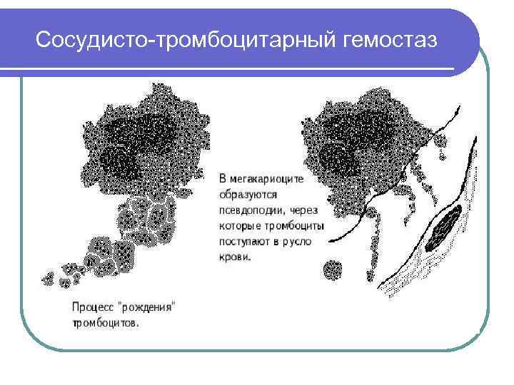 Тромбоцитарный гемостаз. Сосудисто-тромбоцитарный гемостаз. Сосудисто-тромбоцитарный гемостаз схема. Тромбоцитарная гистограмма.