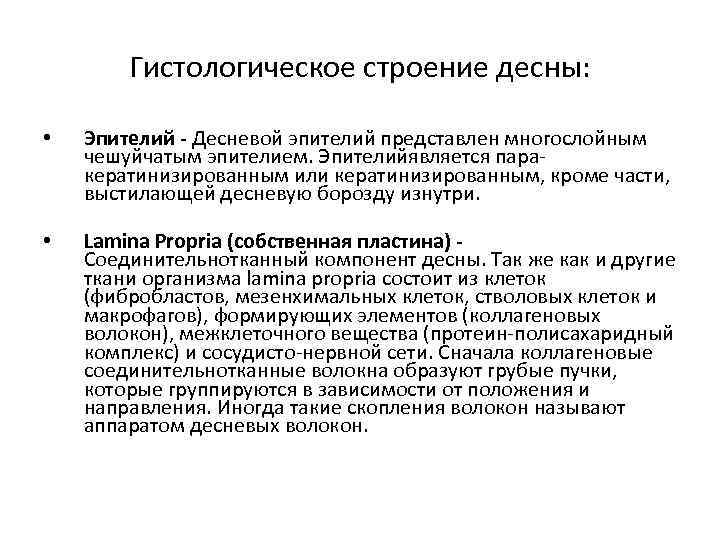 Гистологическое строение десны: • Эпителий - Десневой эпителий представлен многослойным Гистологическое строение десны: • Эпителий - Десневой эпителий представлен многослойным