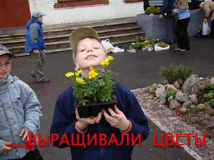 ВЫРАЩИВАЛИ ЦВЕТЫ 