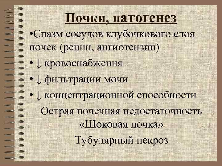 Почки, патогенез • Спазм сосудов клубочкового слоя почек (ренин, ангиотензин) • ↓ Почки, патогенез • Спазм сосудов клубочкового слоя почек (ренин, ангиотензин) • ↓
