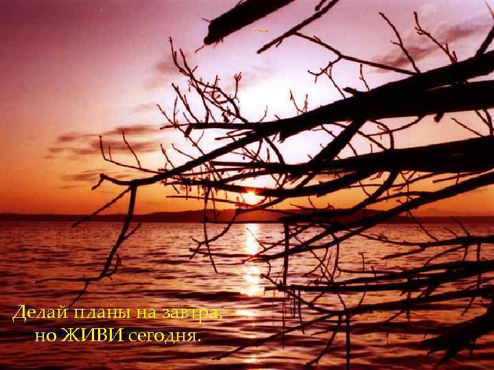 Делай планы на завтра,  но ЖИВИ сегодня. 