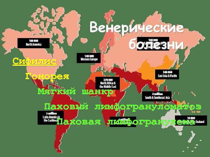   Венерические   болезни Сифилис  Гонорея Мягкий шанкр Паховый лимфогрануломатоз 