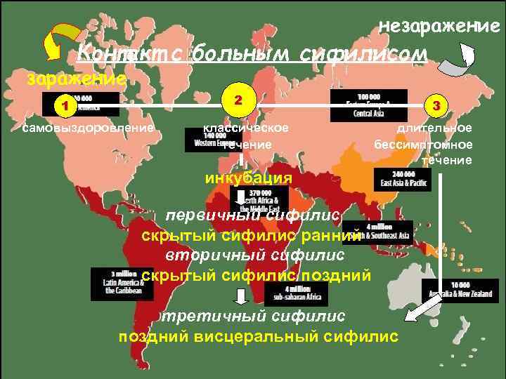        незаражение   Контакт с больным сифилисом