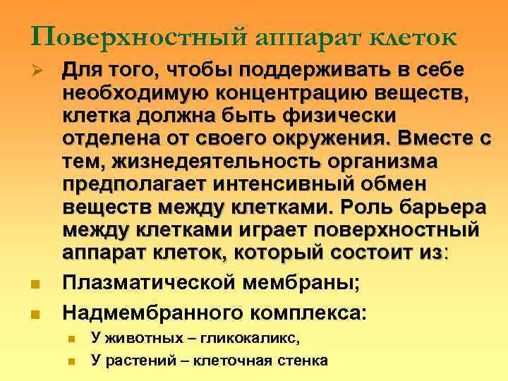 Поверхностный аппарат клеток Ø  Для того, чтобы поддерживать в себе необходимую концентрацию веществ,
