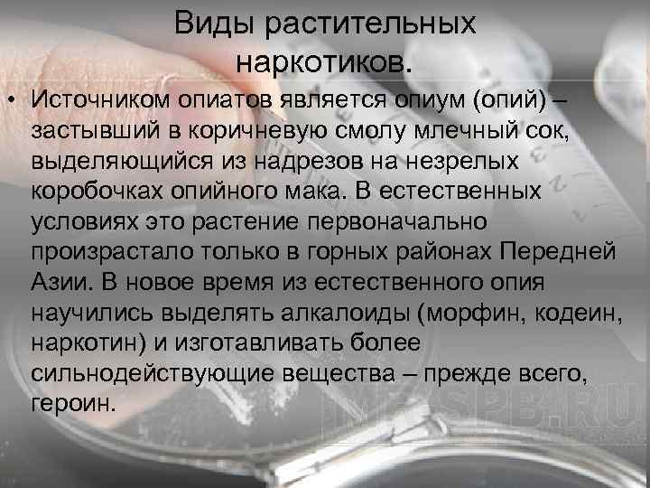   Виды растительных    наркотиков.  • Источником опиатов является опиум