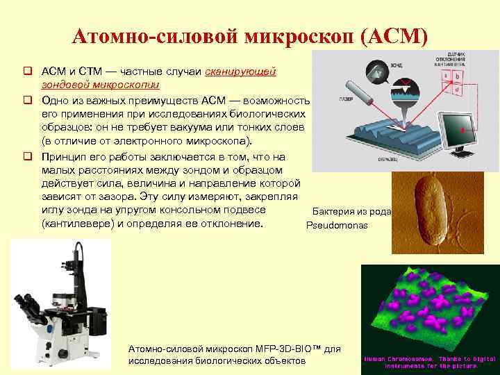 Чем обеспечивается качество формируемого изображения в сканирующих зондовых микроскопах