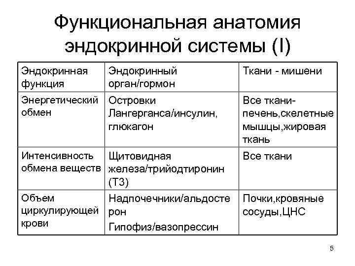  Функциональная анатомия  эндокринной системы (I) Эндокринная Эндокринный  Ткани - мишени функция