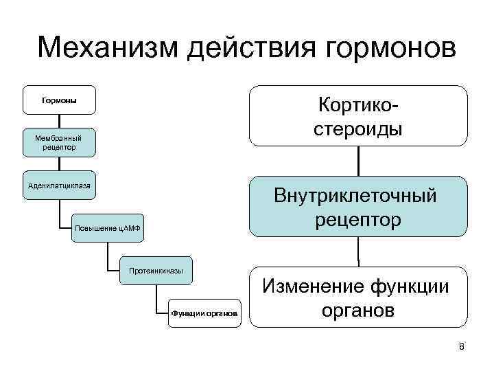  Механизм действия гормонов  Гормоны     Кортико- Мембранный  