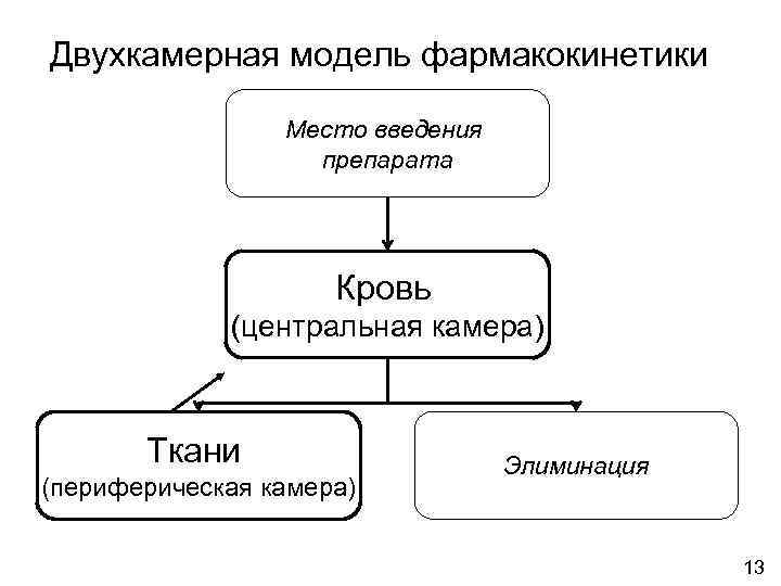 Двухкамерная модель фармакокинетики    Место введения    препарата  