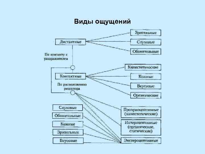 Виды ощущений 