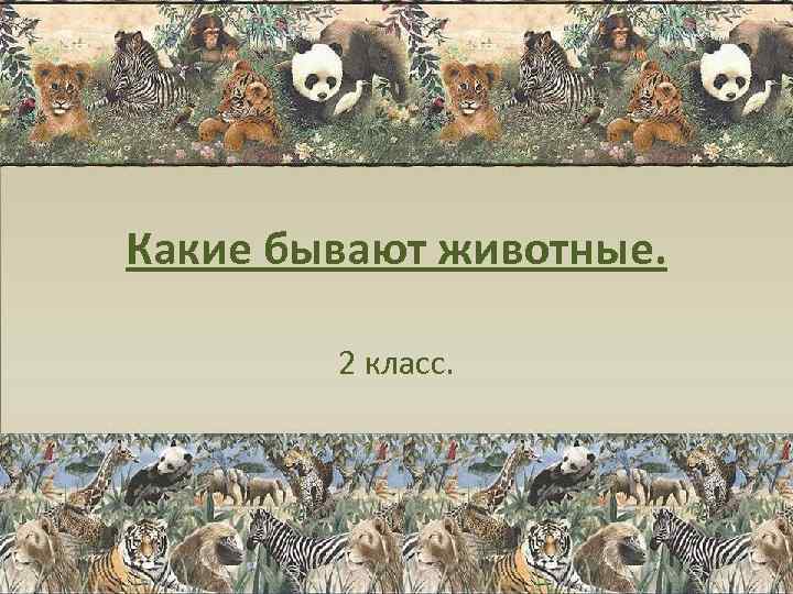 Какие бывают животные.  2 класс. 