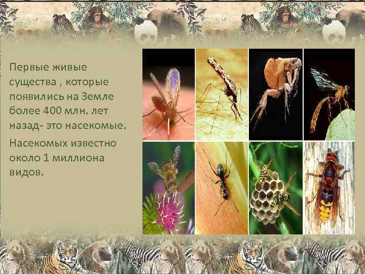 Первые живые существа , которые появились на Земле более 400 млн. лет назад- это