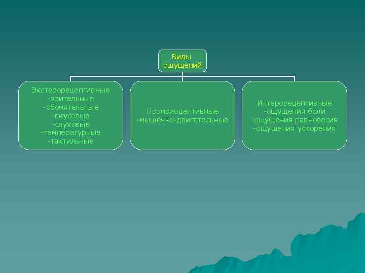      Виды      ощущений  Экстерорецептивные