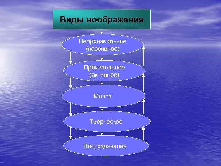 Виды воображения Непроизвольное (пассивное)  Произвольное (активное)   Мечта   Творческое 