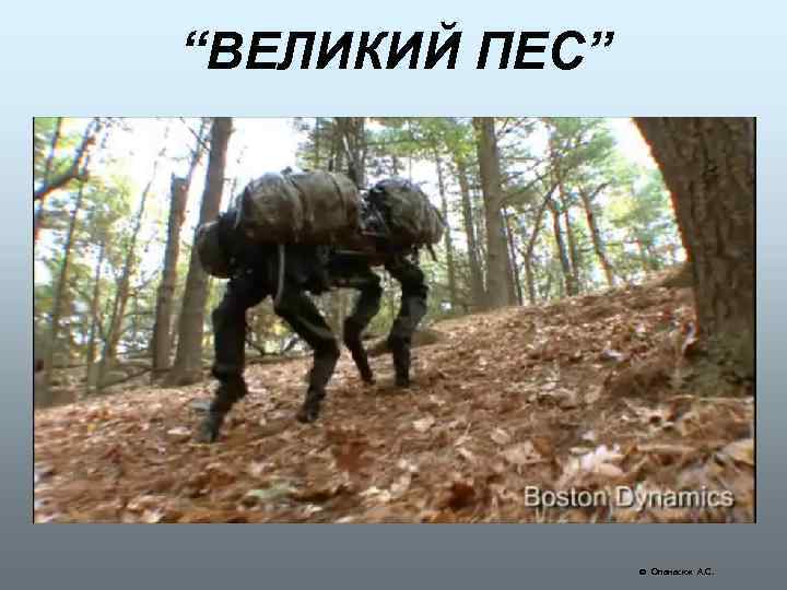 “ВЕЛИКИЙ ПЕС” Опанасюк А. С. 