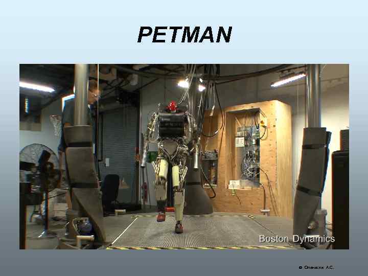 PETMAN Опанасюк А. С. 