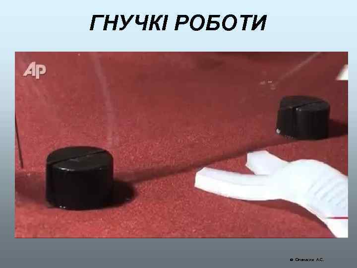 ГНУЧКІ РОБОТИ Опанасюк А. С. 