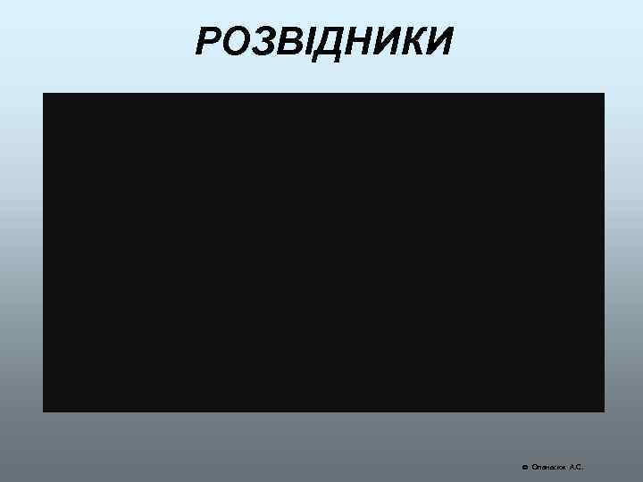 РОЗВІДНИКИ Опанасюк А. С. 