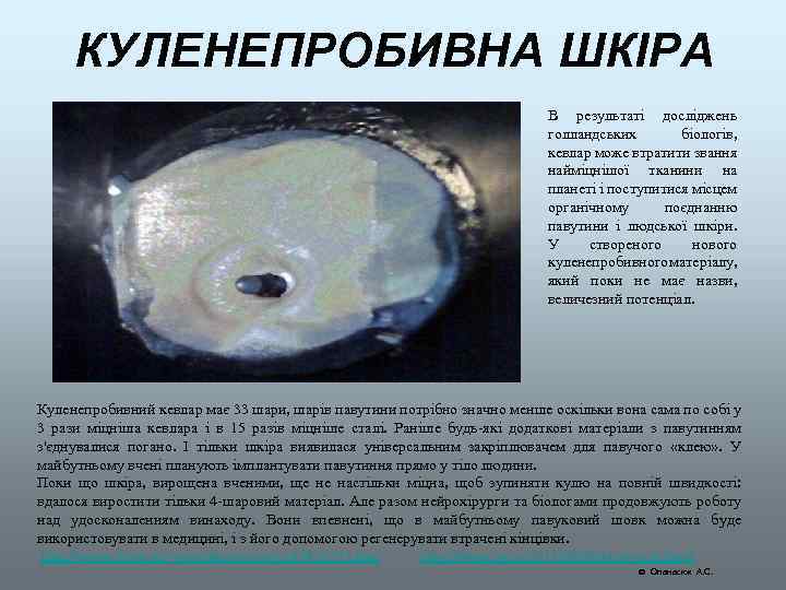КУЛЕНЕПРОБИВНА ШКІРА В результаті досліджень голландських біологів, кевлар може втратити звання найміцнішої тканини на