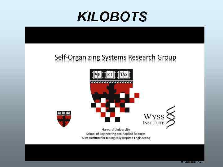 KILOBOTS Опанасюк А. С. 