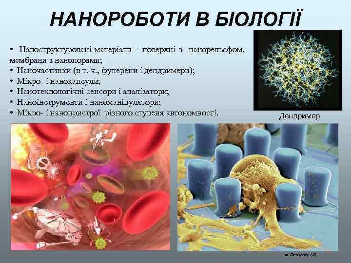НАНОРОБОТИ В БІОЛОГІЇ • Наноструктуровані матеріали – поверхні з нанорельєфом, мембрани з нанопорами; •