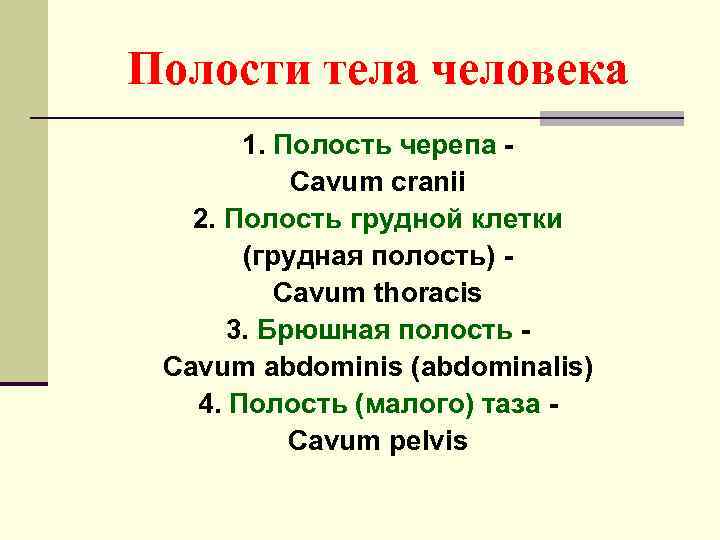Полости тела человека  1. Полость черепа -  Сavum cranii  2. Полость