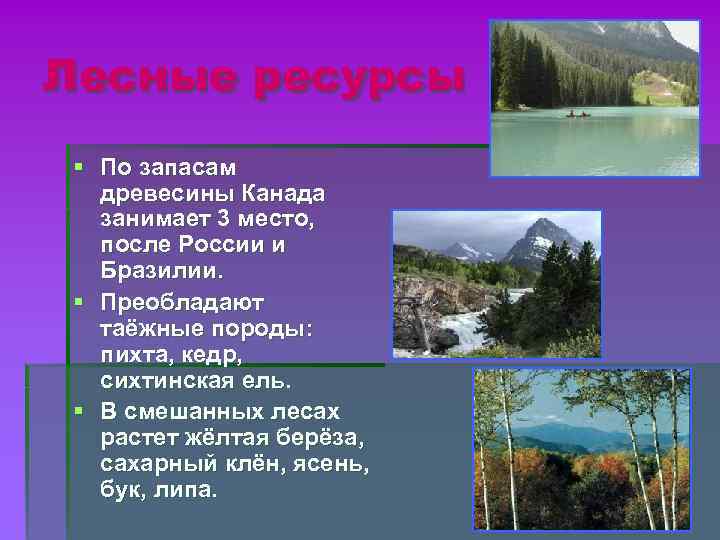 Лесные ресурсы § По запасам древесины Канада занимает 3 место, после России и Бразилии.