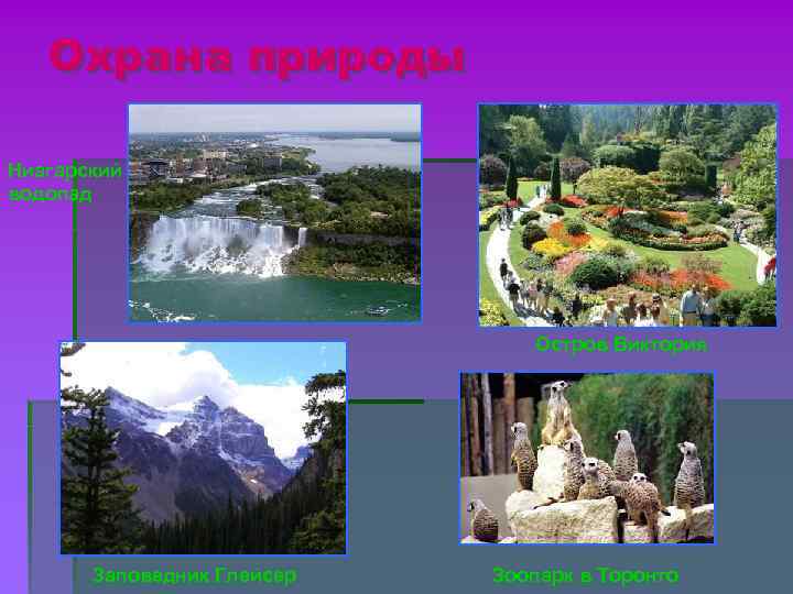 Охрана природы Ниагарский водопад Остров Виктория Заповедник Глейсер Зоопарк в Торонто 