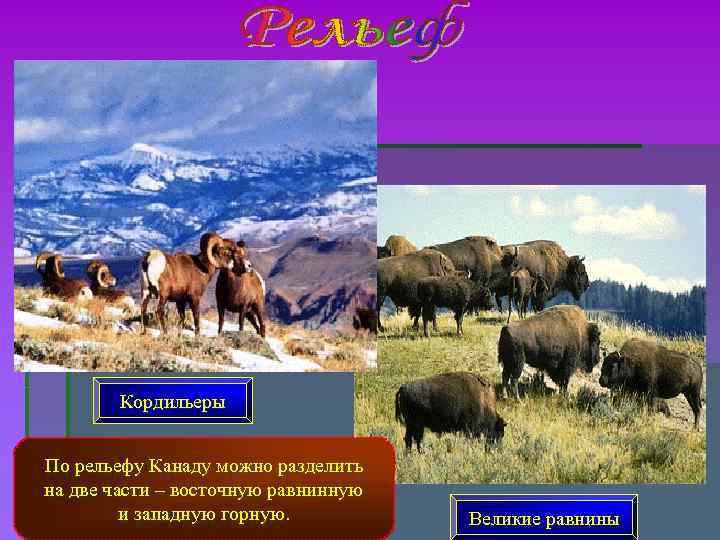 Кордильеры По рельефу Канаду можно разделить на две части – восточную равнинную и западную