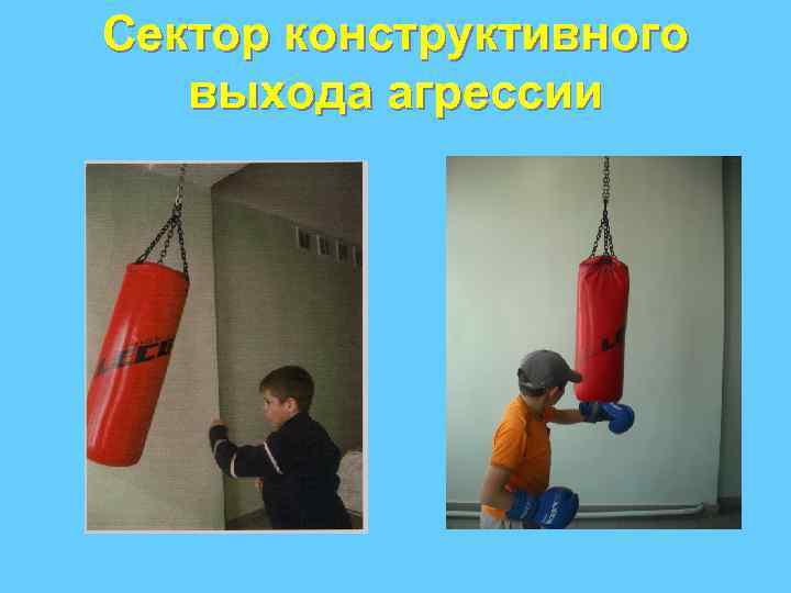 Сектор конструктивного выхода агрессии 