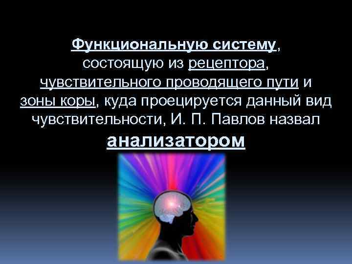 Функциональную систему, состоящую из рецептора, чувствительного проводящего пути и зоны коры, куда проецируется данный