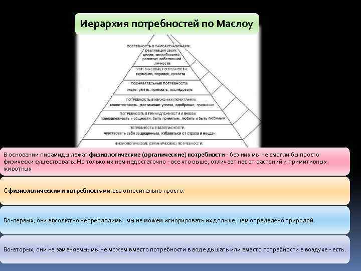 Иерархия потребностей по Маслоу В основании пирамиды лежат физиологические (органические) потребности - без них