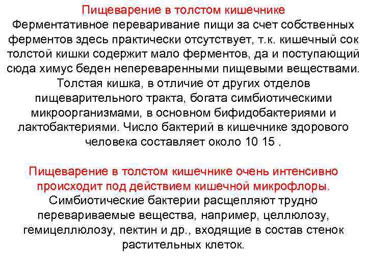 Пищеварение в толстом кишечнике Ферментативное переваривание пищи за счет собственных ферментов здесь практически отсутствует,