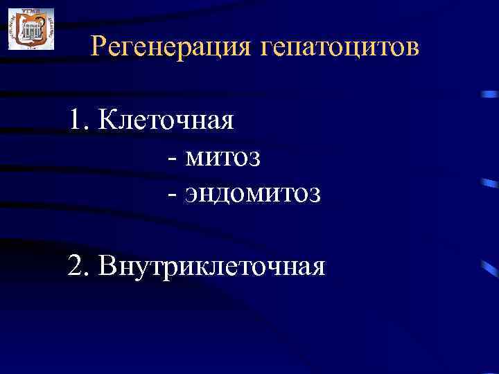 Регенерация гепатоцитов 1. Клеточная - митоз - эндомитоз 2. Внутриклеточная 