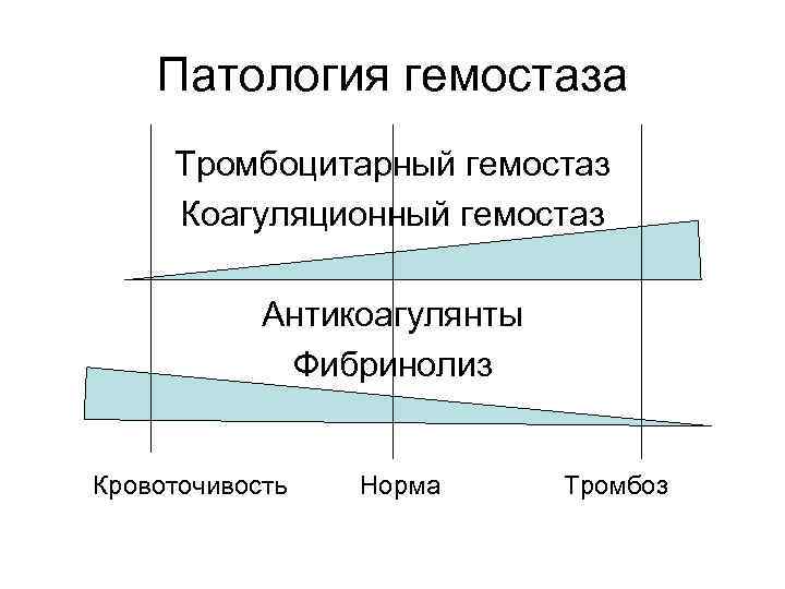 Патология гемостаза Тромбоцитарный гемостаз Коагуляционный гемостаз Антикоагулянты Фибринолиз Кровоточивость Норма Тромбоз 