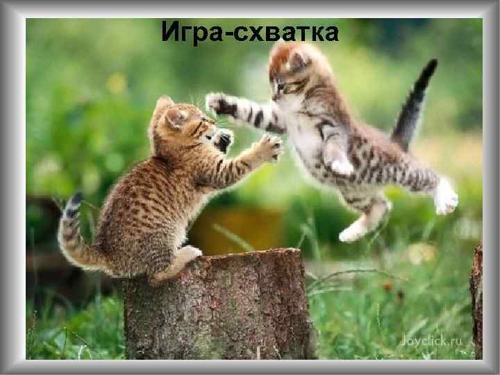 Игра-схватка 