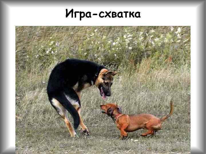 Игра-схватка 