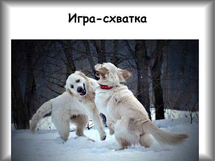 Игра-схватка 