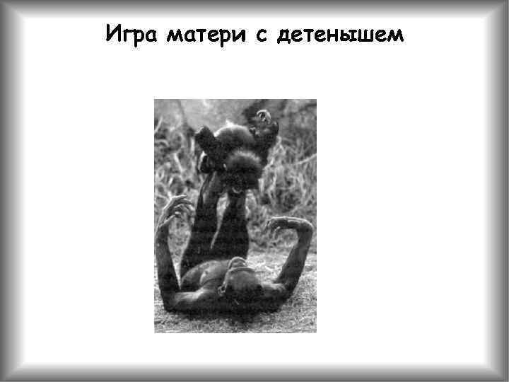 Игра матери с детенышем 