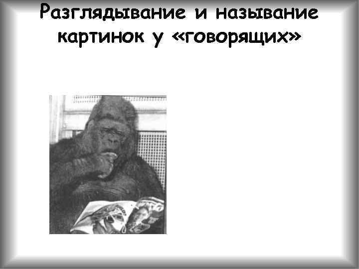 Разглядывание и называние картинок у «говорящих» 