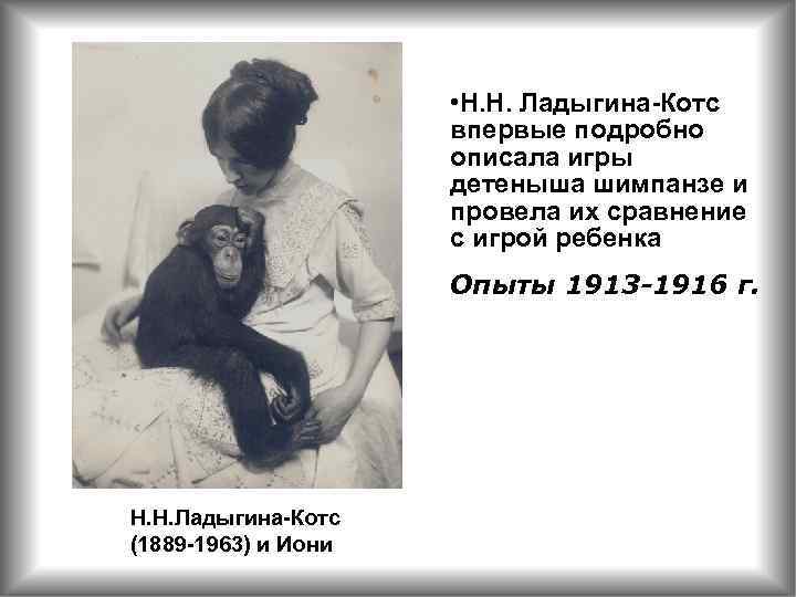  • Н. Н. Ладыгина-Котс впервые подробно описала игры детеныша шимпанзе и провела их
