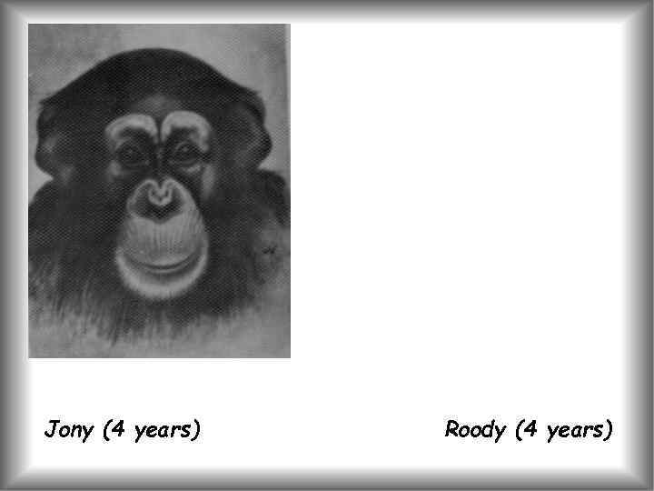 Jony (4 years) Roody (4 years) 