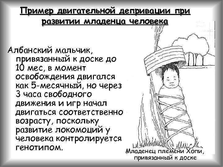 Пример двигательной депривации при развитии младенца человека Албанский мальчик, привязанный к доске до 10