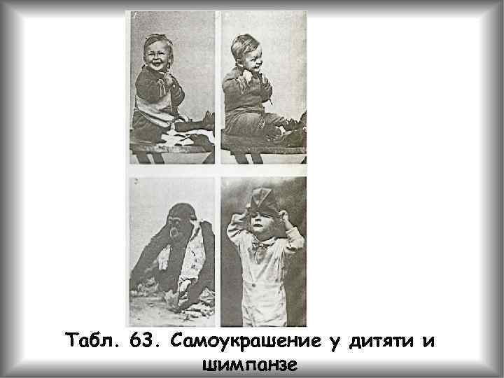 Табл. 63. Самоукрашение у дитяти и шимпанзе 
