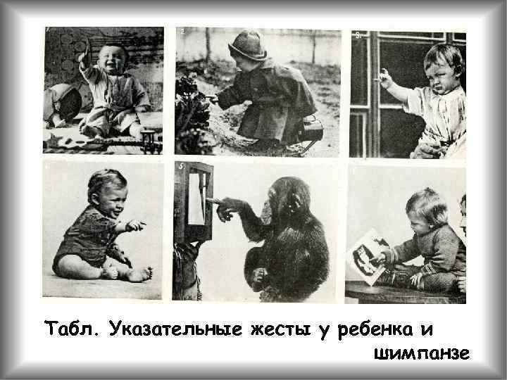 Табл. Указательные жесты у ребенка и шимпанзе 