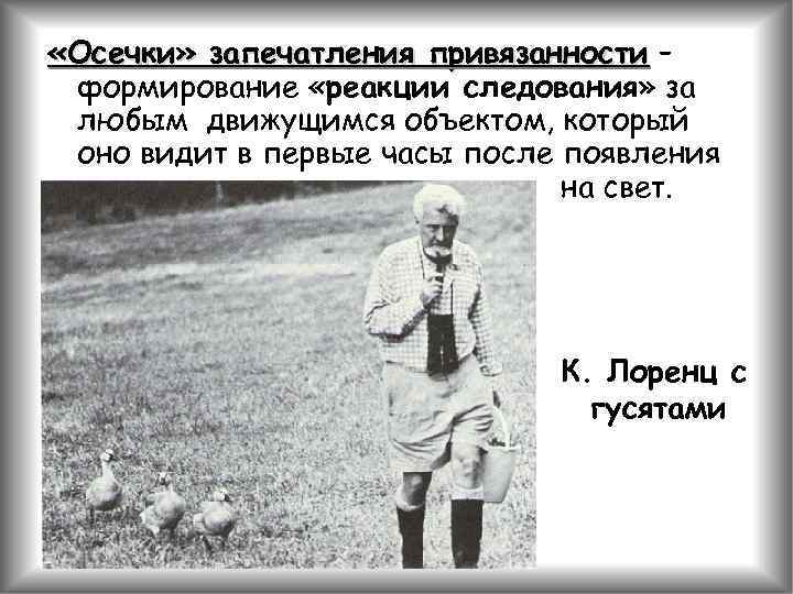  «Осечки» запечатления привязанности – формирование «реакции следования» за любым движущимся объектом, который оно